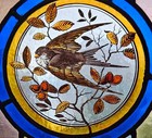 Beautiful Rare Painted Bird In Foliage Antique English Stained Glass Window