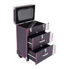 Professional Makeup Train Case Rolling Cosmetic Travel Organizer Suitcase