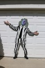 Beetlejuice   Halloween Lawn Art Yard Decor