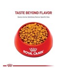 Royal Canin Feline Breed Nutrition Persian Adult Dry Cat Food  7-lb Bag