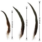 Rooster Tail Feathers Bulk 50pcs  30-35cm  Masquerade Party  Craft  Brown