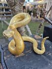 Snake Ornament Statue Figurine Sculpture Home Decor Animal Reptile Gold Resin