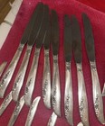Oneida 1881 Rogers Lilac Time Silverplate Flatware Set 48 Pc Vintage 1957 