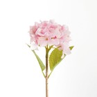 Hydrangea Stems 18   Set Of 6