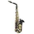 New Brass Eb Alto Saxophone Sax Gold With Case Student Beginner Us