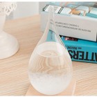 Storm Glass Weather Station Predictor  Barometer Bottle With Wood Base For Ho   