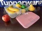 Tupperware Freezer Mates Medium  2 Container 1 5l 6c Set 2 Sheer Light Pink New