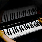 61 Key Full Size Piano Keyboard Note Labels  Colorful   Removable  Silicone  Reu
