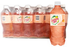 Canada Dry Peach Soda  20 Fl Oz  pack Of 24 