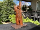 Driftwood Malaysian Aquariums Fish Reptiles Decoration Pet Supplies Art Garden