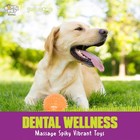 Gnawsome Medium Squeaker Ball Dog Toy  3 5   Colors Will Medium  Rad 