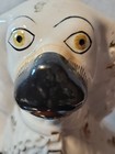 Large 12 vintage  Staffordshire Hunt Spaniel Dog Cottagecore