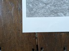 2007 Promo Poster The Sea   Cake Everybody Lp 18  X 24  Indie Rock