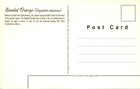 Central America  South America  Banded Orange  Sealing Wax Palm  Postcard