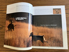 Original Winchester Firearms Catalogs you Choose 2000 2001 2002 2003 2004 
