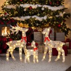 3 Piece Christmas Weather Proof Reindeer Family In outdoor Holiday Decorations