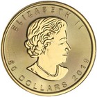 2019 1 Oz Canadian Gold Maple Leaf Coin