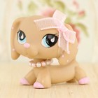 Littlest Pet Shop Vintage Toy Lps Dachshund  909 Lps Figure With Lps Accessories