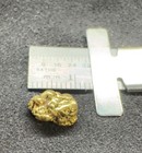 Natural Gold Nugget 1 63g Alaskan Placer Specimen