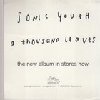 Sonic Youth 4 5 Inch Square Sticker A Thousand Leaves Promo