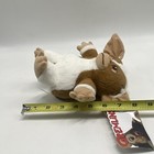Gremlins Gizmo Plush Stuffed Mogwai Animal Toy Factory Warner Bros 9    2022 Tag
