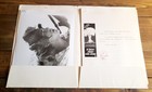 1975  a Boy   His Dog  Don Johnson Movie Press Kit  7  Photos   Signed Letter 