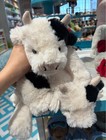 Jellycat Smudge Cow Rare Retired Nwt - With Label Dust Bag Plush Gift
