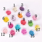 20pcs Real Pressed Dry Daffodil Flower  1 Colors Dyed Flower For Art Craft Fcd06