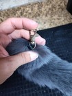 Gray Wolf Tail 