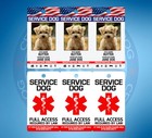 3x Service Dog Key Chain Tag   Collar Tag For Service Animal Id Card
