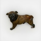 Vintage Franz Bergman Austrian Cold Painted Bronze Bulldog Sculpture Figurine