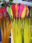 Saratoga   1000  pack Of Self Sealing Water Balloons With Nozzles