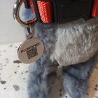 Fortinet Plush Toy Cat Gabbi Rare Internet  Item Wow I Need A  Home Please Meow