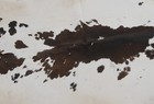 New Cowhide Rugs Area Cow Skin Leather 10 29 Sq feet  39 x38   Cow Hide U-1255