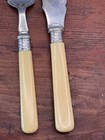 Antique Fish Set Sterling Ferrules Celluloid Handles   Silverplate Espn