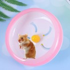  Hamster Running Wheel Pet Quiet Exercise Fitness Pet-exercise-wheels