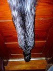 Huge Beautiful Tanned Silver Fox Fur Pelt Skin Taxidermy S5 Man Cave Log Cabin