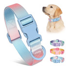 Fashion Durable Gradient Color Puppy Dog Collar Adjustable Durable Nylon Dog Col