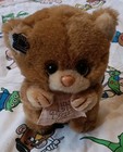 Applause Little Beggar Kitten Plush 1984 Stuffed Animal W tag 7  Vintage 80s