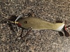 Nice Contemporary Minnow Early Style Wood Glass Eyes