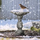 Concrete Birdbath For Birds  Ideal For Gardens And Outdoor Spaces