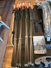 Hoyt Satori Recurve Bow Used