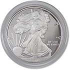 2010 W American Silver Eagle Choice Proof Bullion  1 Coin Ogp Coa