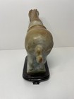 Chinese Tang Style Carved Jade Horse On Stand