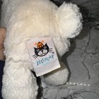 Jellycat London Cream Bashful Bunny White Rabbit Lovey Plush Stuffed Animal 12   