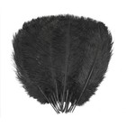 30 Black Ostrich Feathers 12-14 Inches - Bulk Natural Plumes For Centerpieces  H