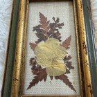 Charming Vintage Pressed Flower Artwork  Beautifully Framed And Ready To Display