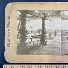 Central Park Rustic Arbor New York City Stereoview Antique C1880 Y13604