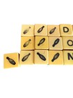 Vintage Butterscotch Bakelite Dices Tested 1950 s Spill   Spell Dice 1 2 Inch