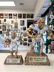 Fantasy Football Monster Individual Trophy Award Free Engraving Small  Pmr-725  